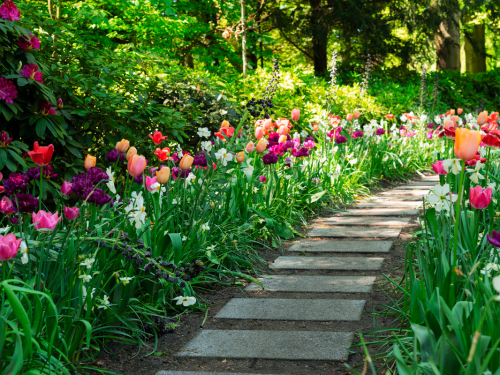 Die richtige Bewässerungsstrategie und Bepflanzung hilft dem Garten, besser Trockenperioden zu übertauchen.